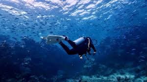 Excursión de buceo de medio día en el Mar Rojo con un instructor.