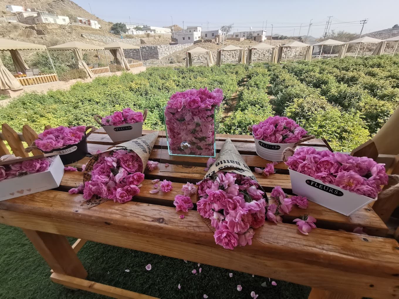 باقة عائلية (6 افراد) لمدة3 ايام :بين جدة والطائف