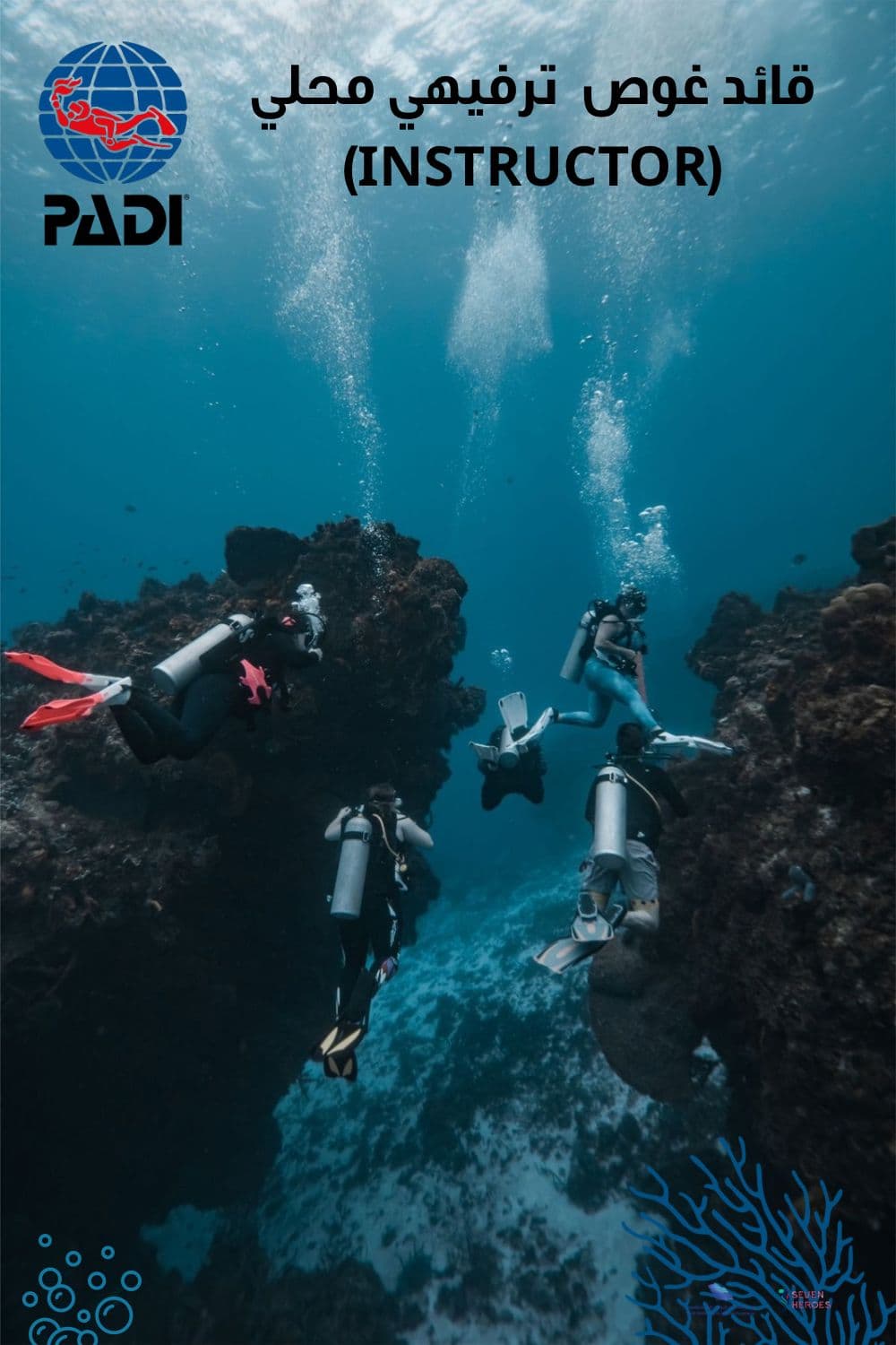 Menyelam eksplorasi bersama instruktur profesional dan pengalaman fotografi bawah air.