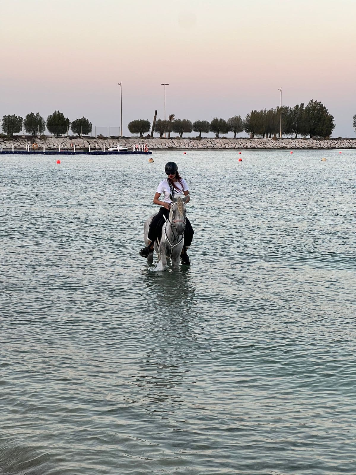 Berkuda di Al-Khobar