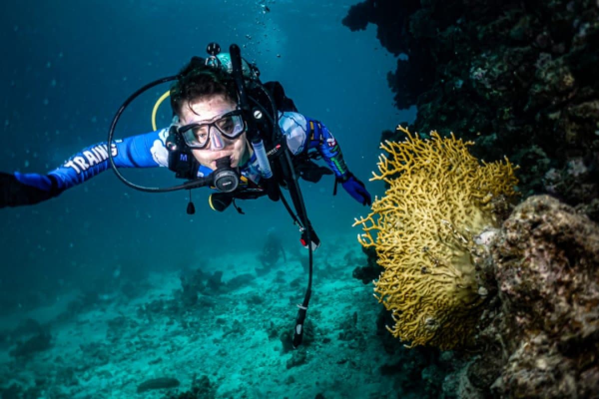 Pengalaman menyelam di Laut Merah di Jeddah.